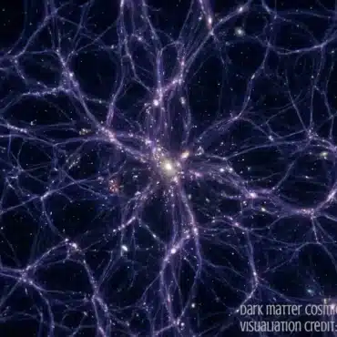 euclid révèle l'architecture invisible de l'univers : la première carte 3d de la matière noire