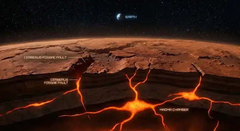 revue de presse du 24/01/2026